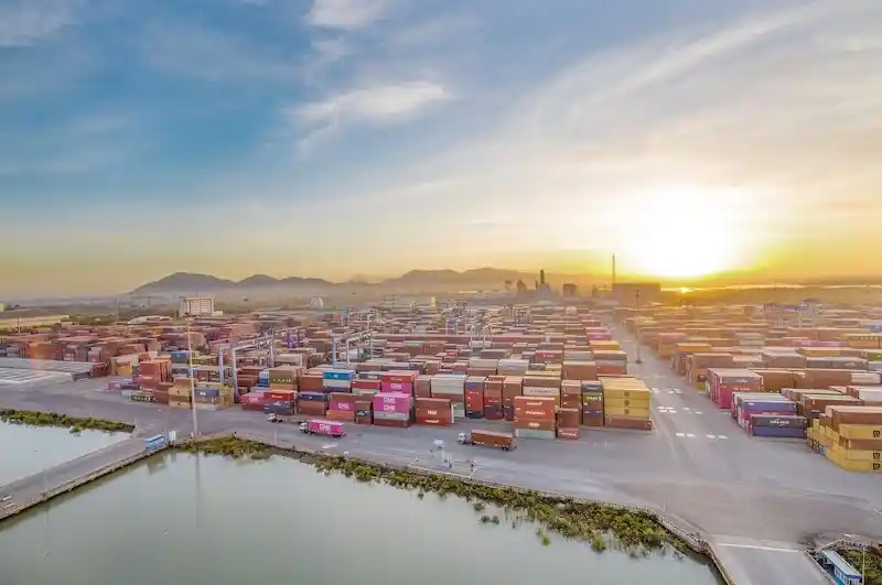 Busy cargo port with stacks of containers from various carriers, gantry cranes, and a green straddle carrier moving units.